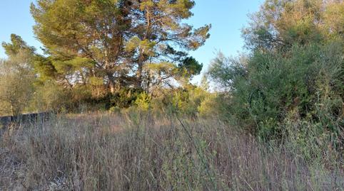 Foto 4 de Finca rústica en venda a Lloret de Vistalegre, Illes Balears