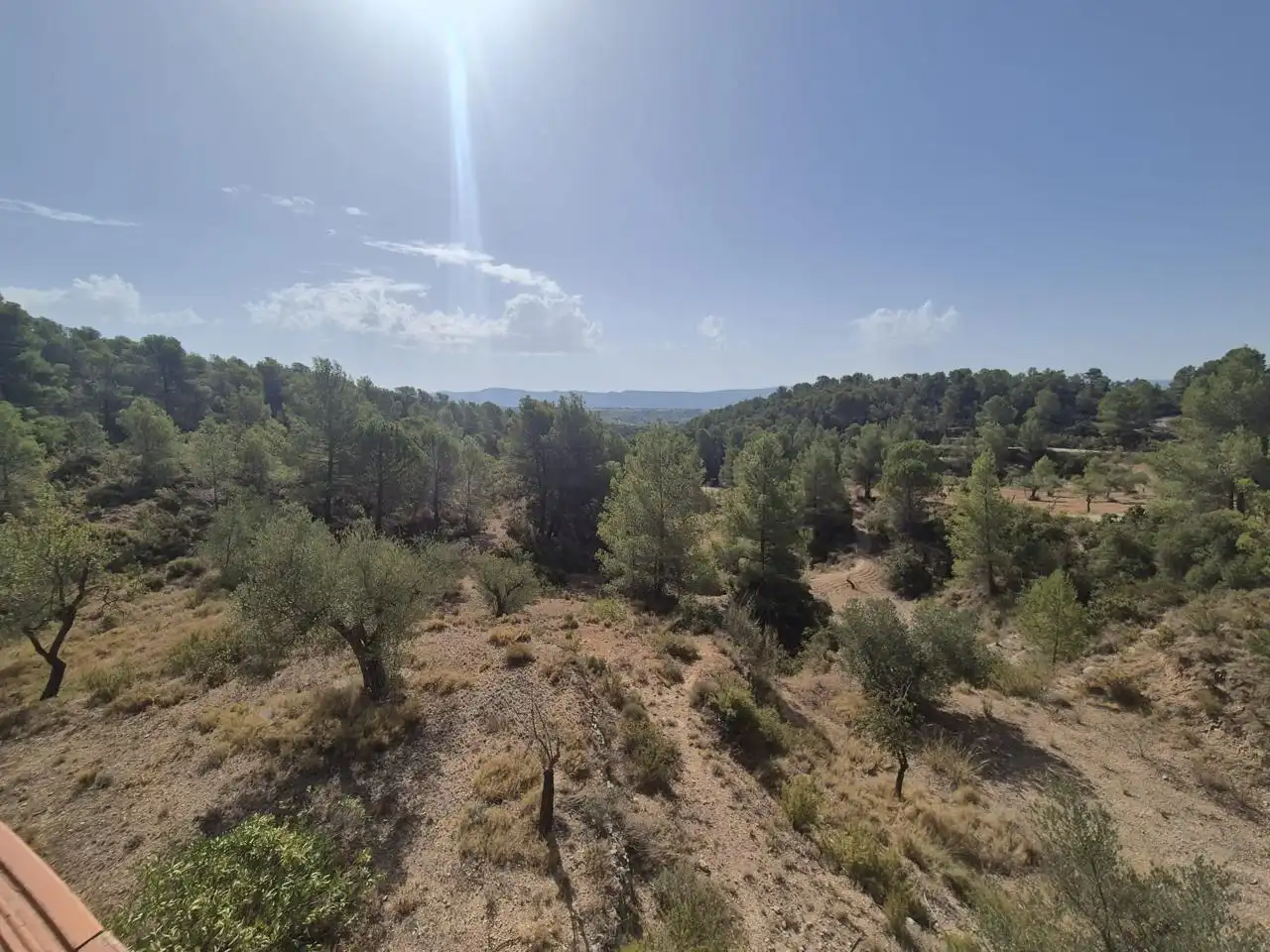 Country homes for sale in Onil