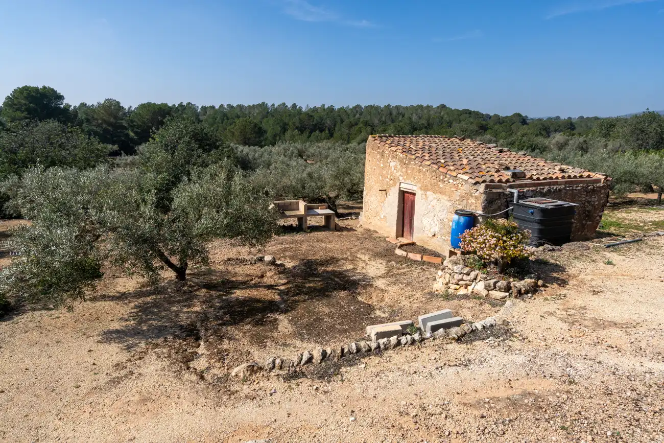 Terrain rustique à vendre à Camí Del Filato 1093, imagen 3