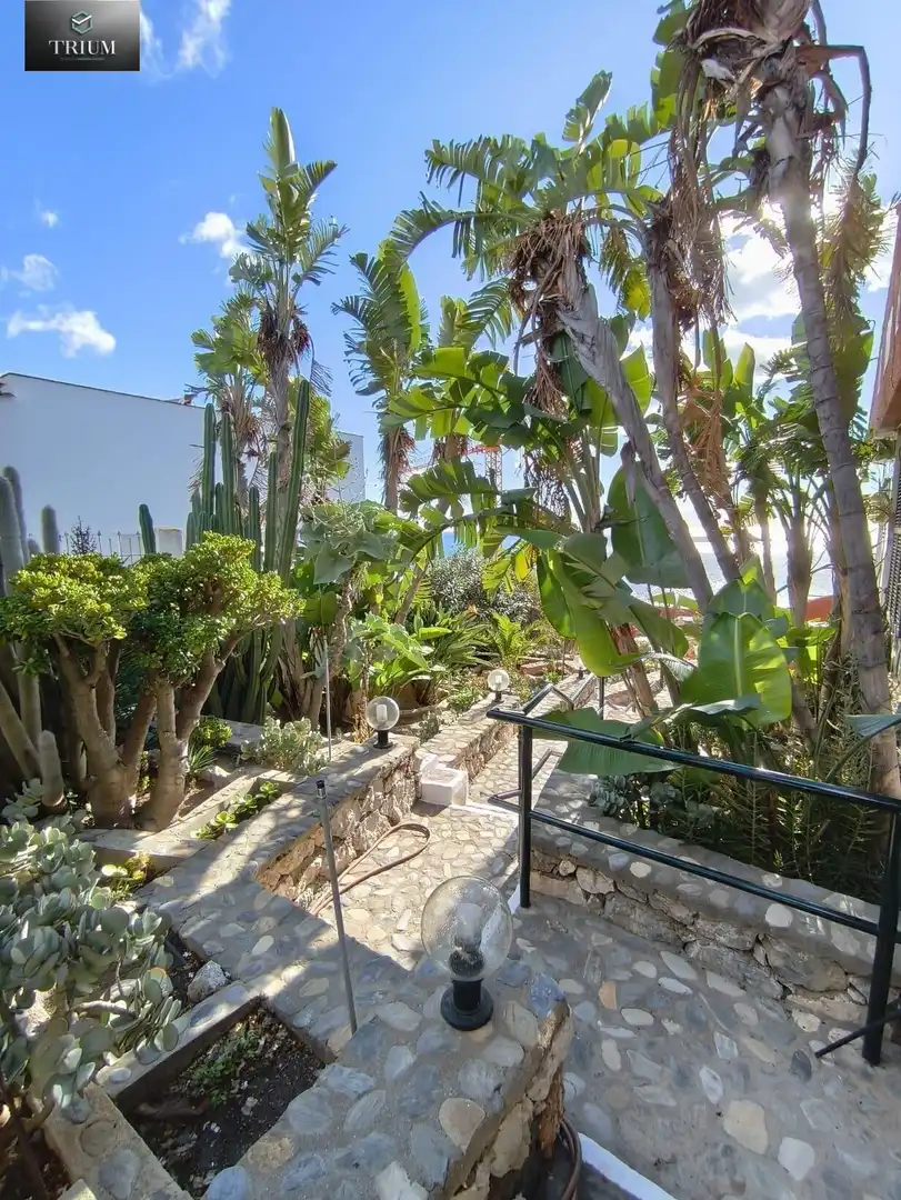 Terrassa de Casa o xalet en venda en Almuñécar