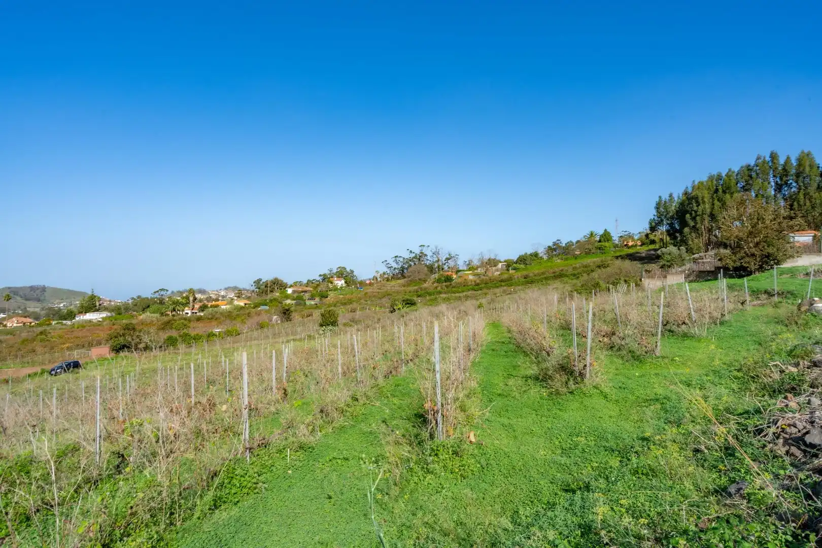 Land for sale in Tacoronte