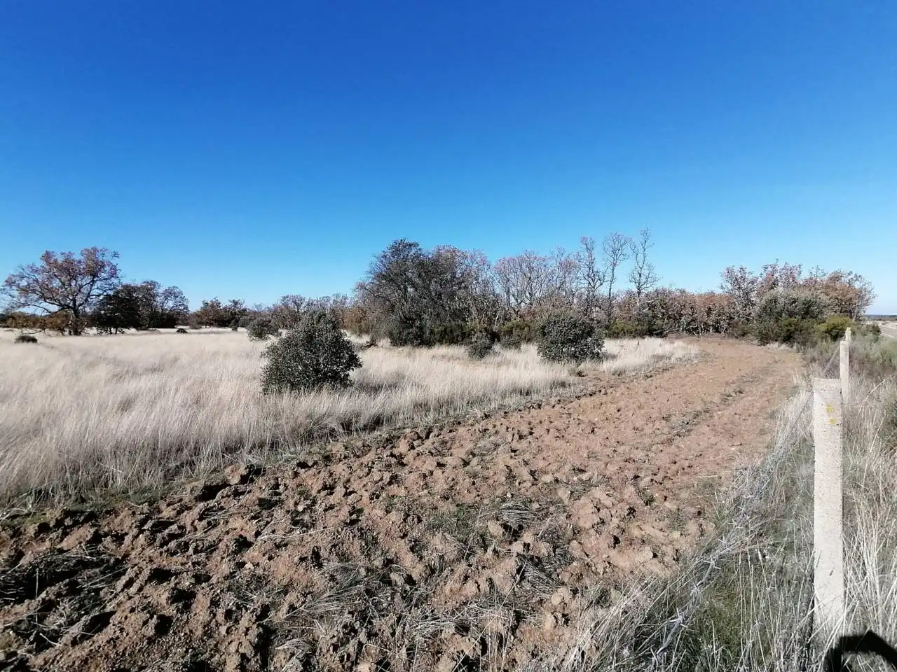 Terreny rústic en venda a Serradilla del Arroyo, imagen 14