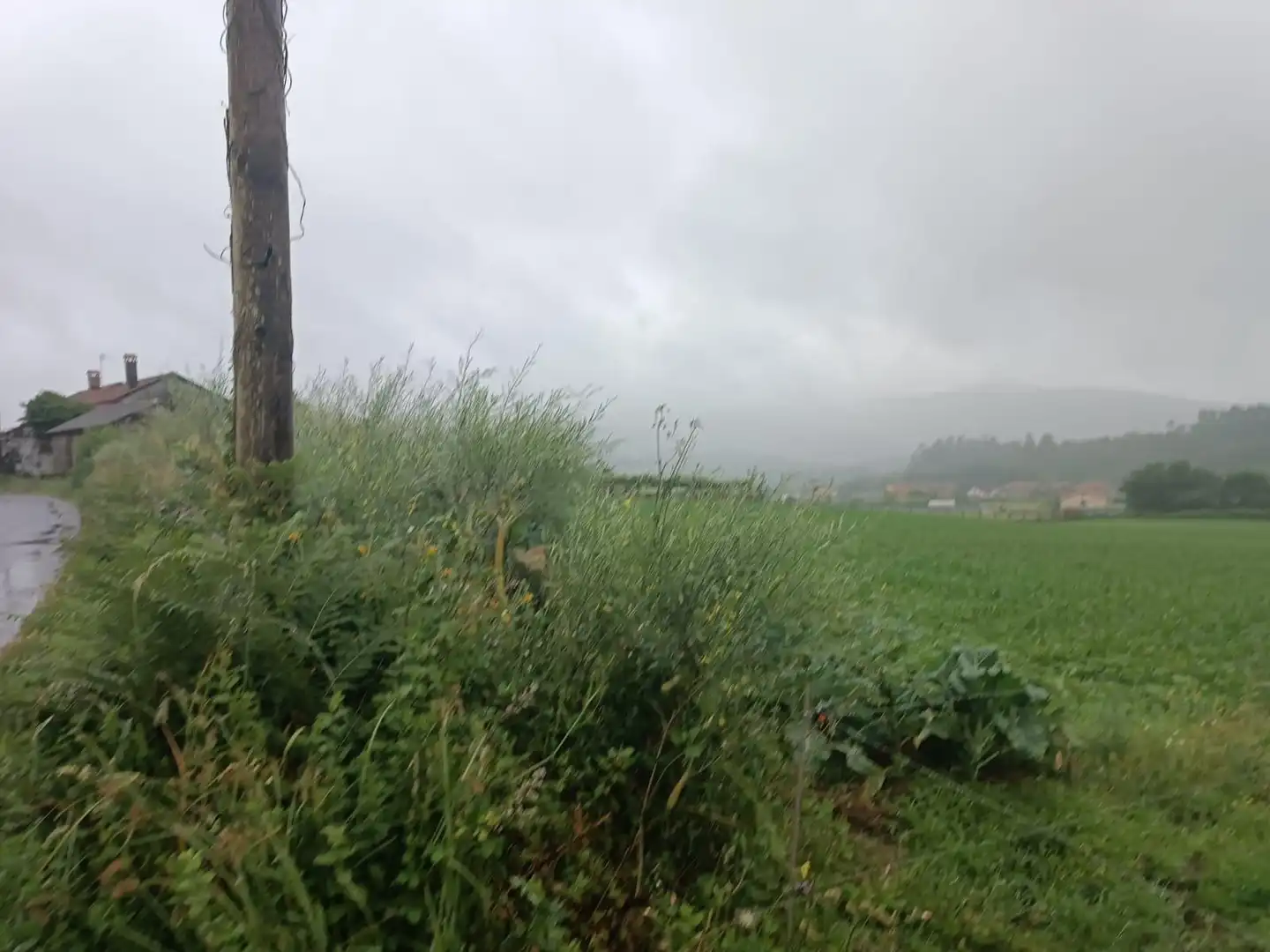Terreno en venta en Polígono 503 Parcela 311 SAN MAMEDE DE PIÑEIRO. , 503, Cuntis