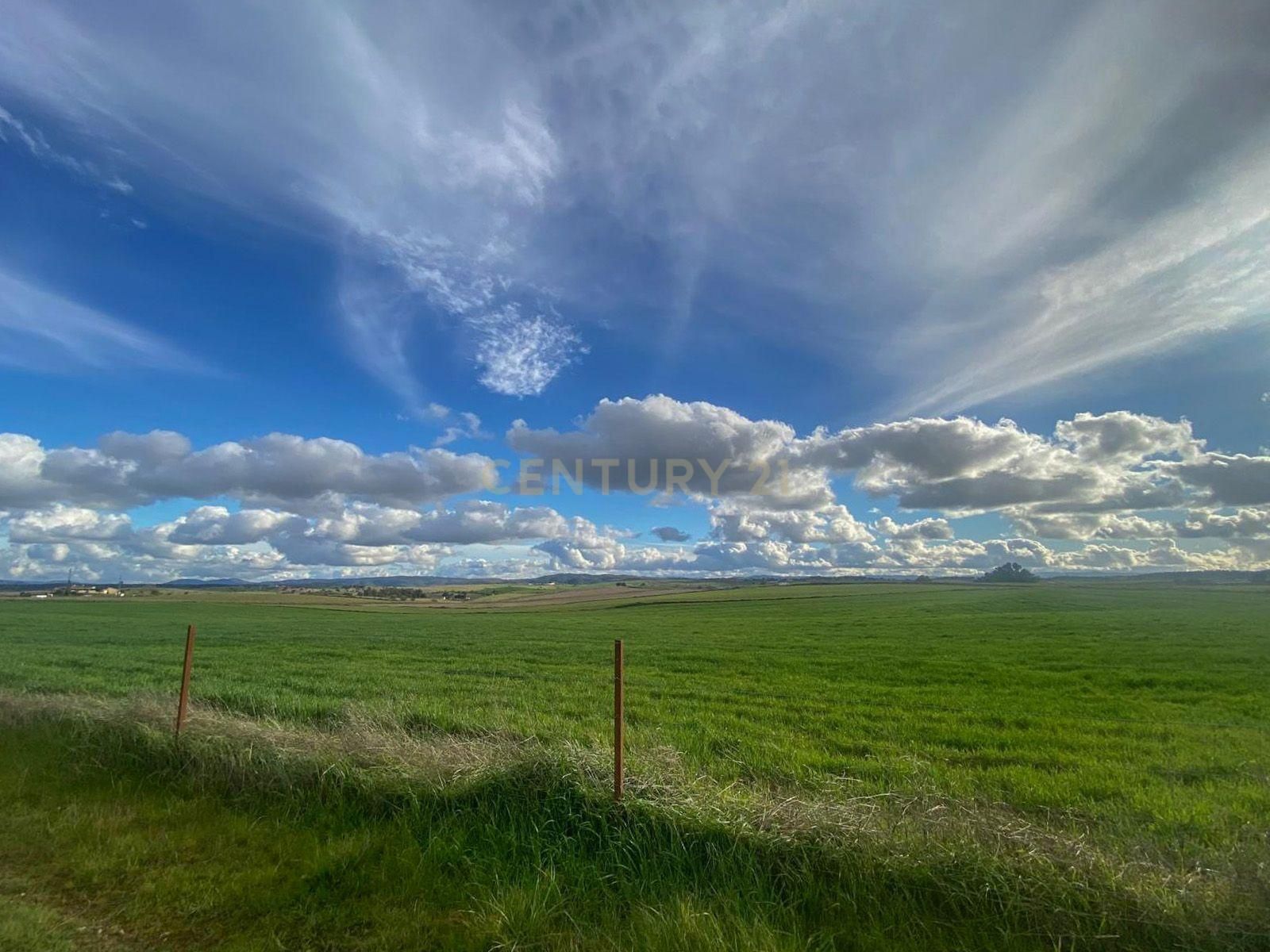 Land for sale in Azuaga