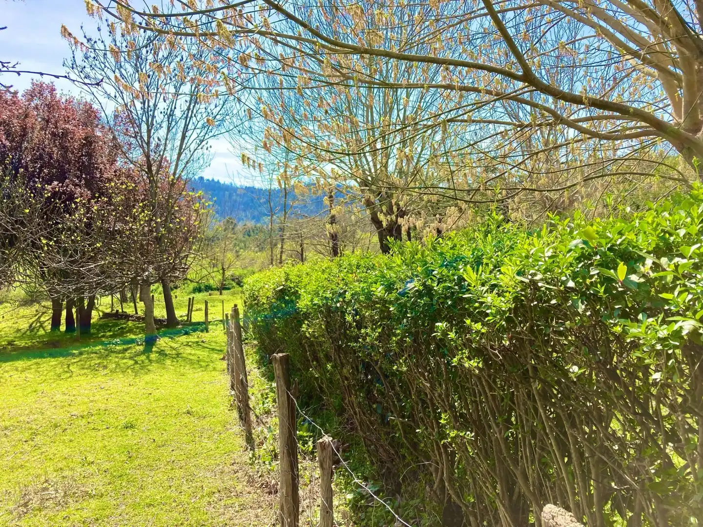 Terreny rústic en venda a Gorliz, imagen 18
