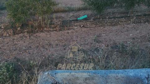 Foto 5 von Country house zum Verkauf in La Granjuela, Córdoba