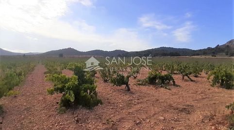 SE VENDE PARCELA EN PRODUCCION DE VIÑA MONASTRELL CON CASA, ALGUEÑA, ABANILLA, CASA VITIA, immagine 3