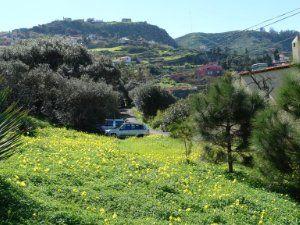 Photo 4 of Residential for sale in Camino de las Rochas, 21, San José de las Vegas - La Atalaya, Santa Brígida