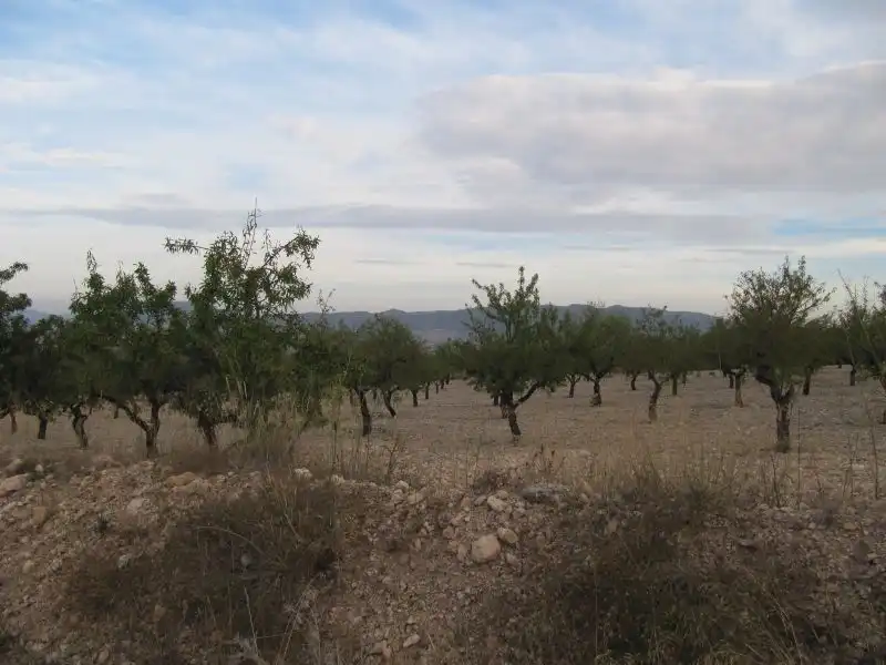 Wohnbaugrundstück zum Verkauf in Salinas