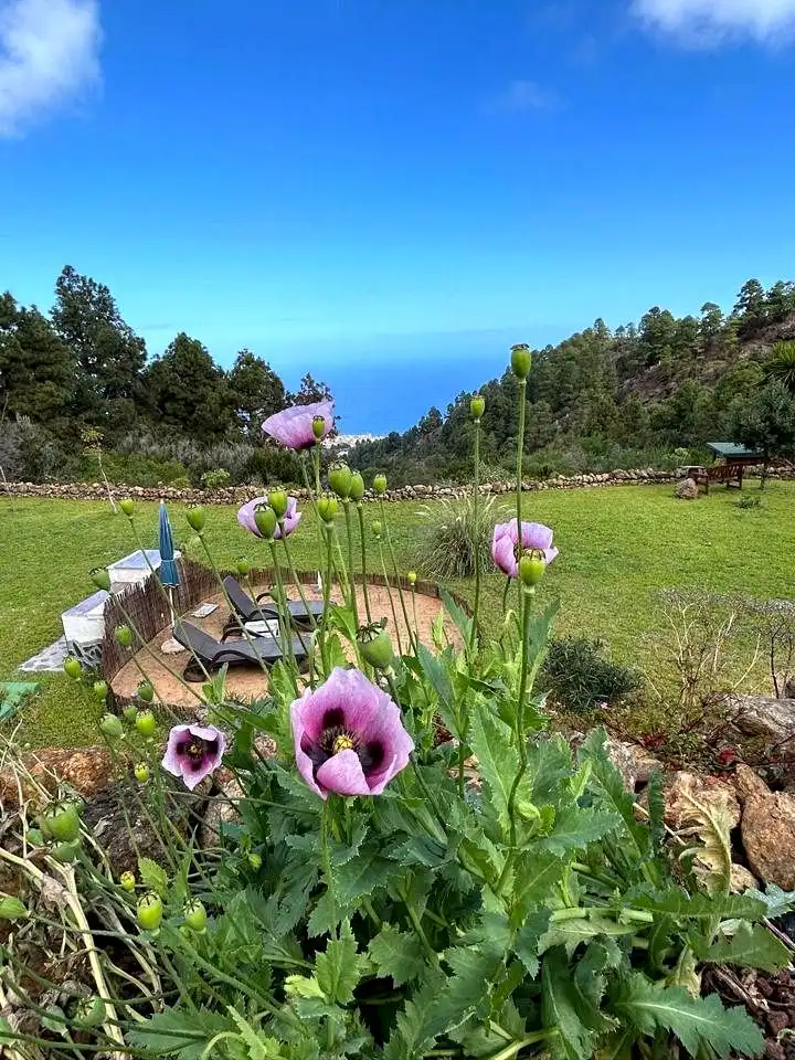 Casa amb jardí en venda a Camino Esperenza, imagen 5