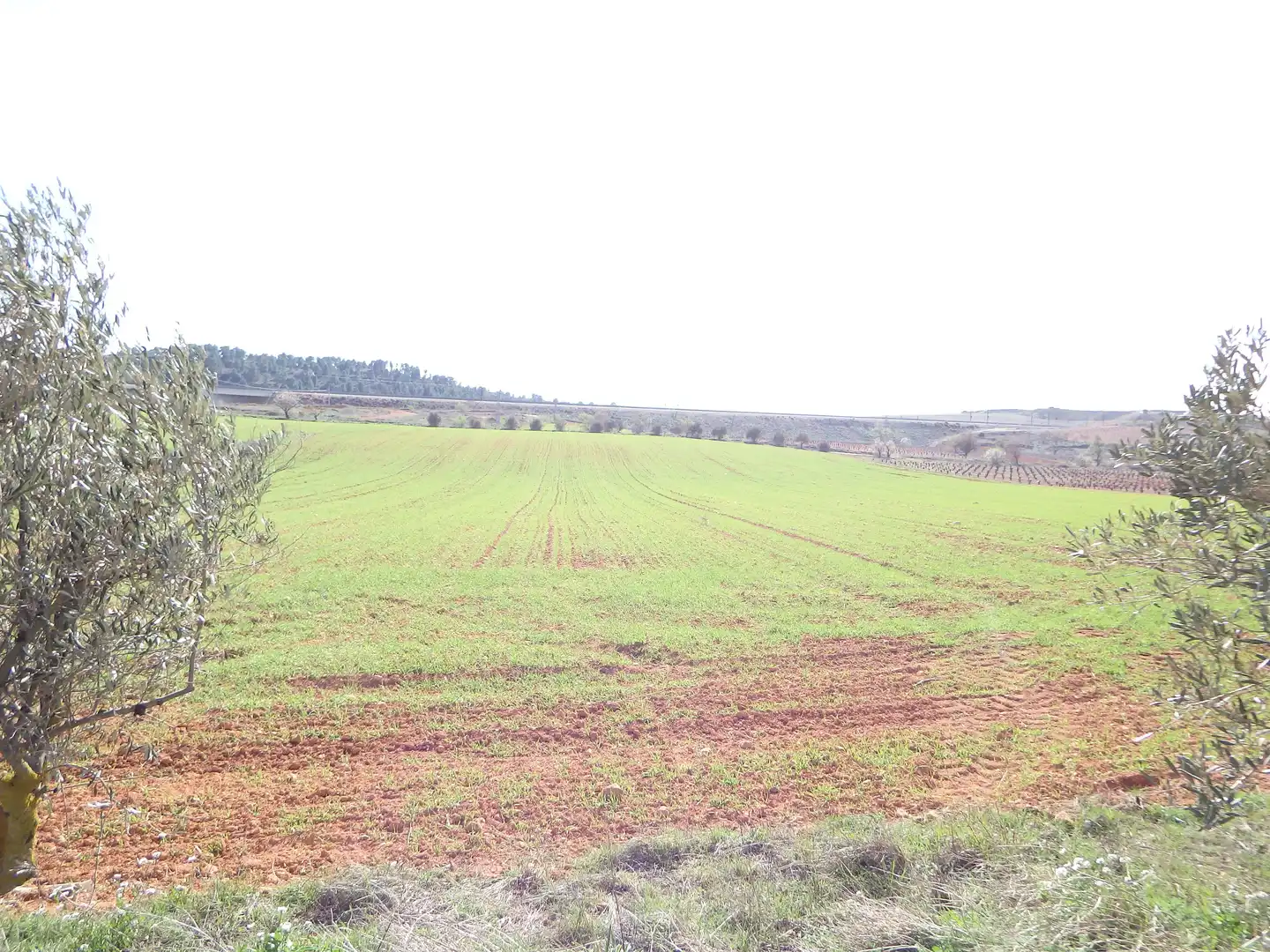 Houses for sale in N/A, Requena