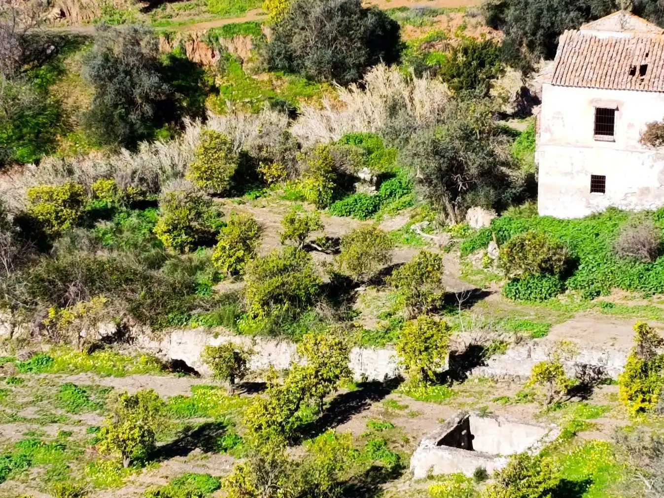 Vista exterior de Terreno en venta en Málaga
