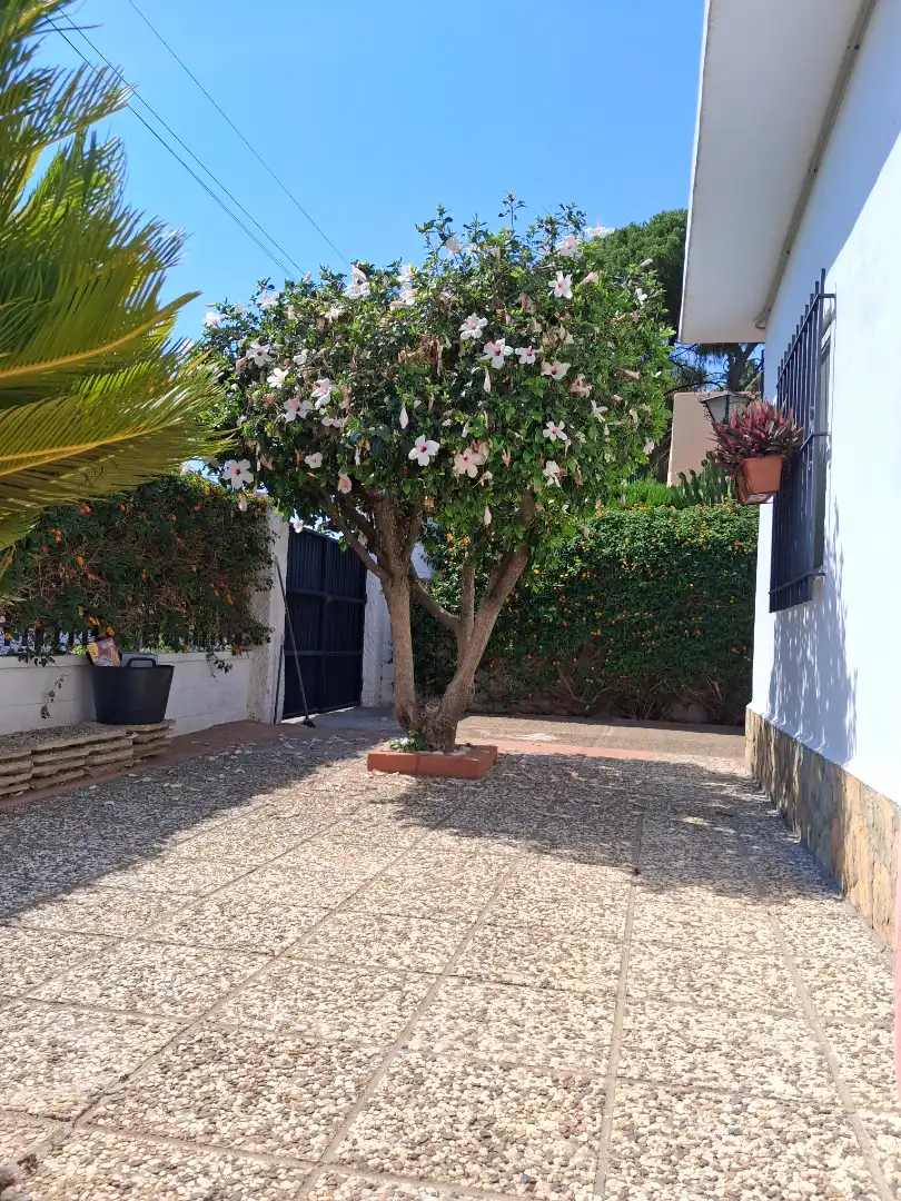 Villa mit Pool zum Verkauf in Calle Fray Jesus Colombo 6, imagen 28