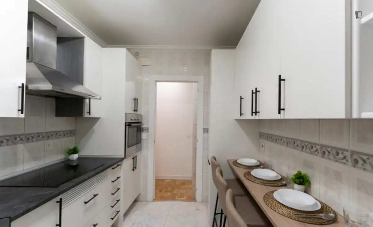 Kitchen of Apartments for share in Madrid  with Furnished, Oven and Washing machine