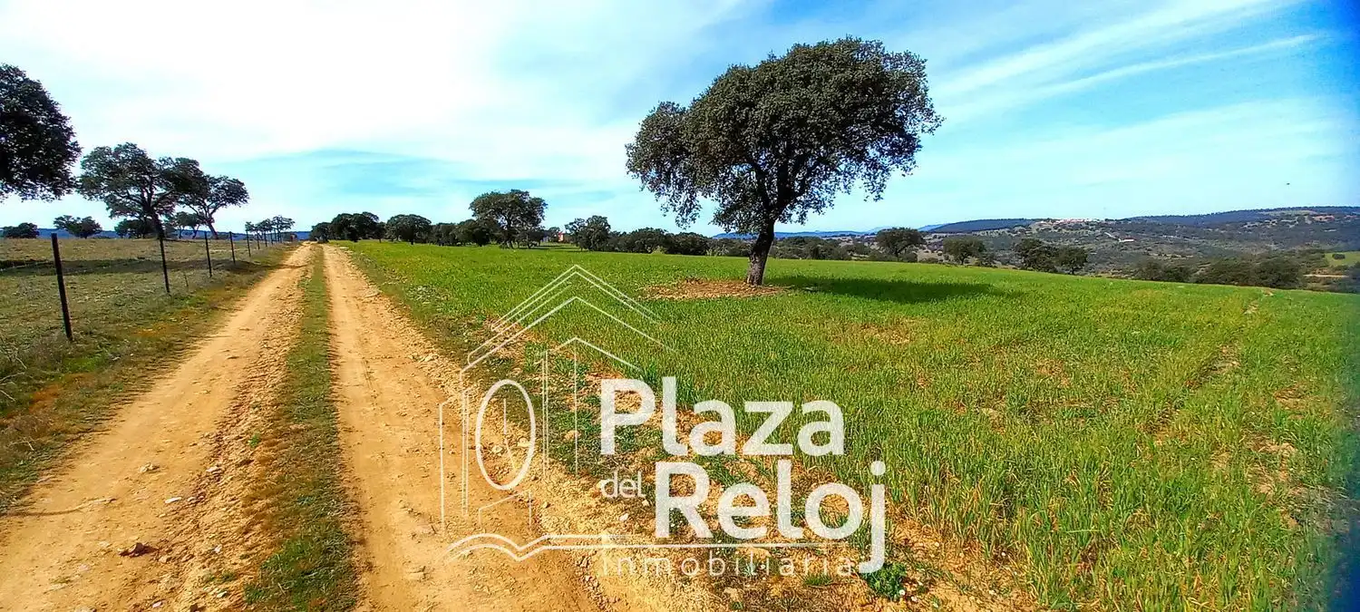 Terreno rustico in vendita a CERVANTES 0, imagen 2