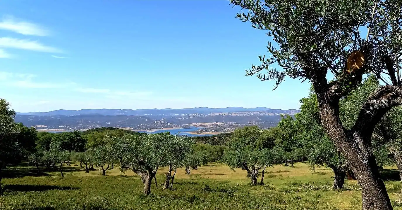 Casa o chalet en venta en Puerto Moral con Jardín privado, Terraza y Trastero