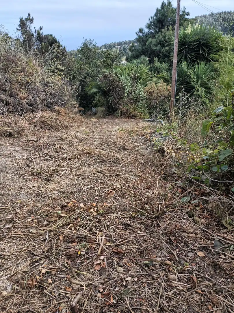 Rural land for sale in La Vega - El Amparo - Cueva del Viento, imagen 12