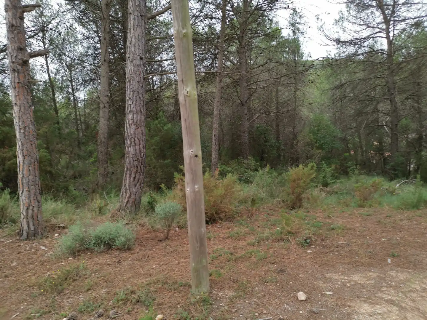 Residencial en venda en El Montmell