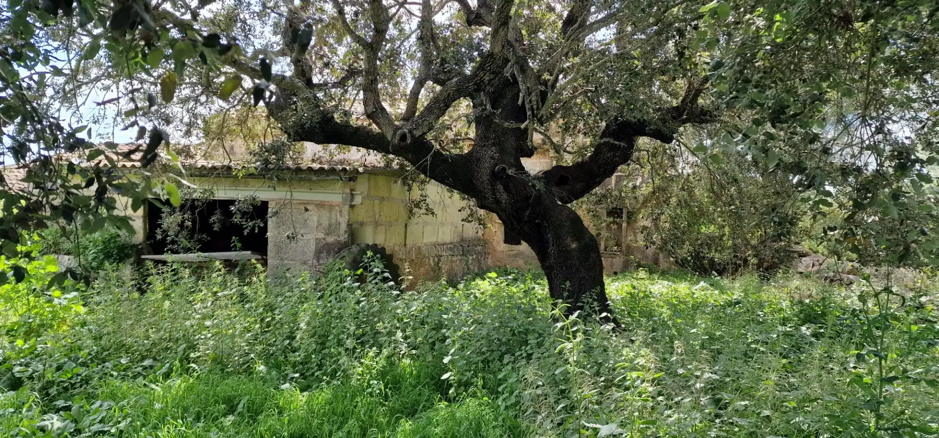 Country homes for sale in Manacor