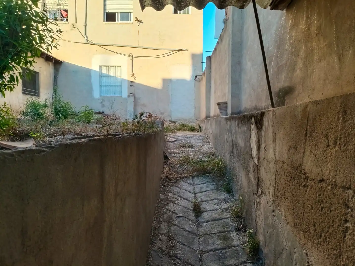 Vista exterior de Casa o chalet en venta en Murcia con Terraza