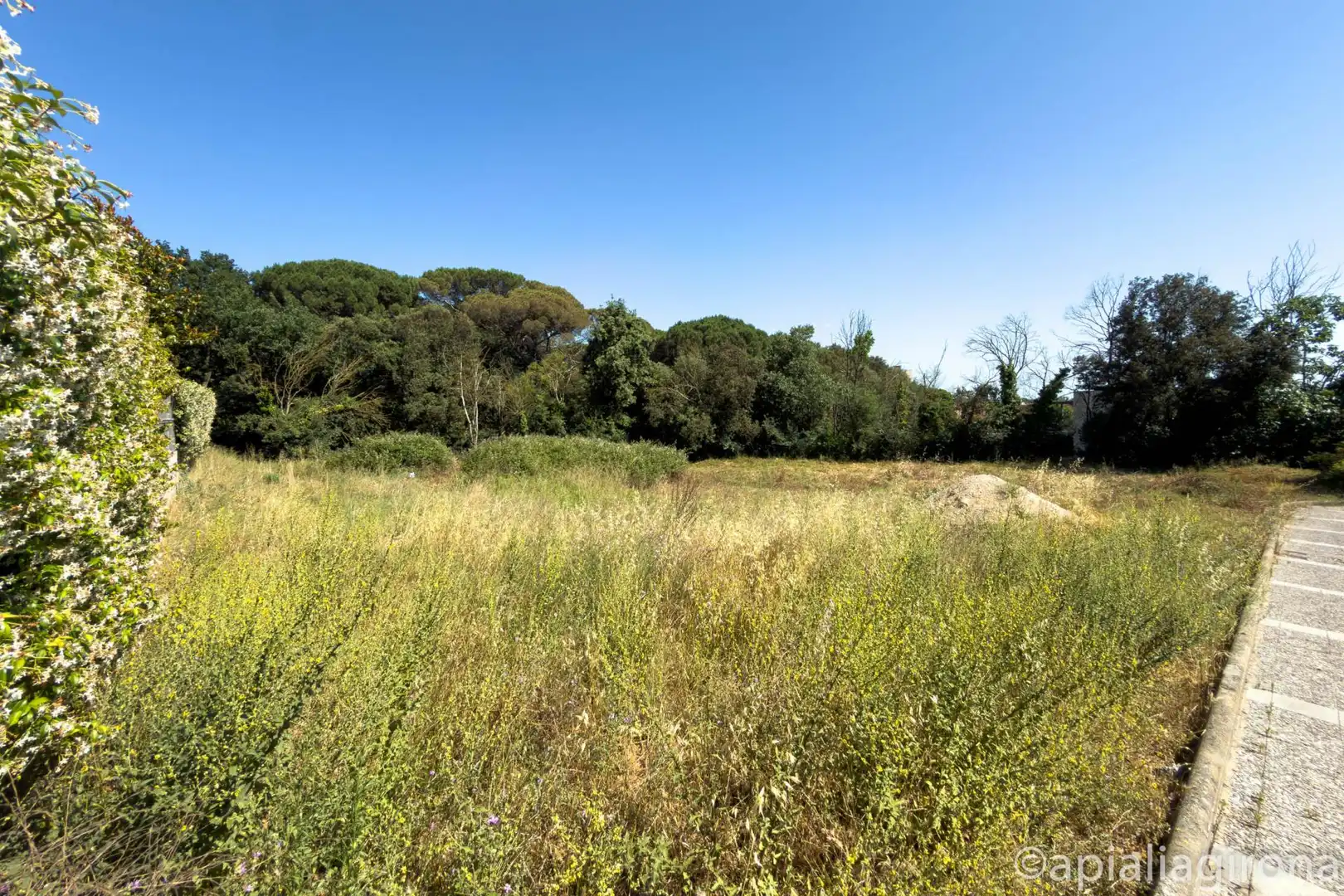 Terreno residencial en venta en Pou de la Torre 14, imagen 8