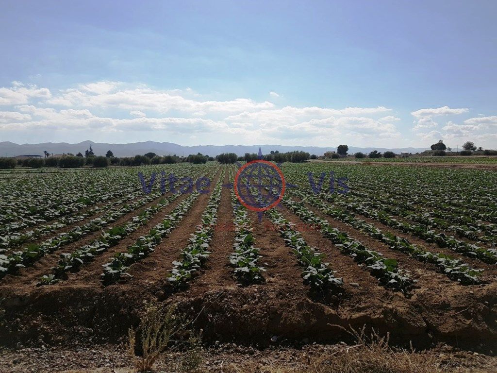 Residential for sale in N/A, -1, Tercia