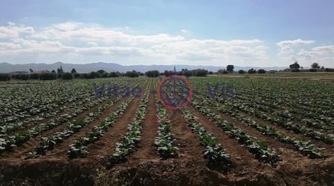 Foto 3 de Residencial en venda a N/a, -1, Tercia, Lorca