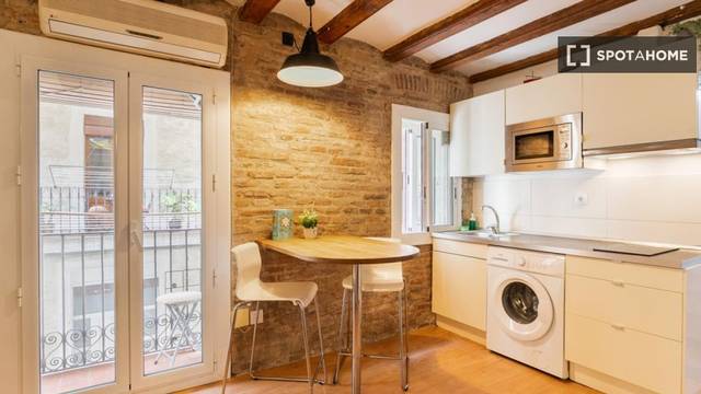 Piso en Alquiler en La Barceloneta