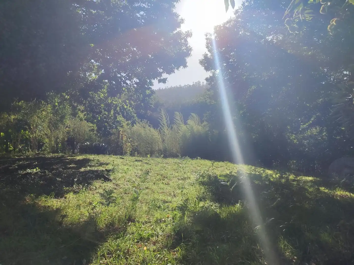 Terreno residenziale in vendita a Área de Ames, imagen 16