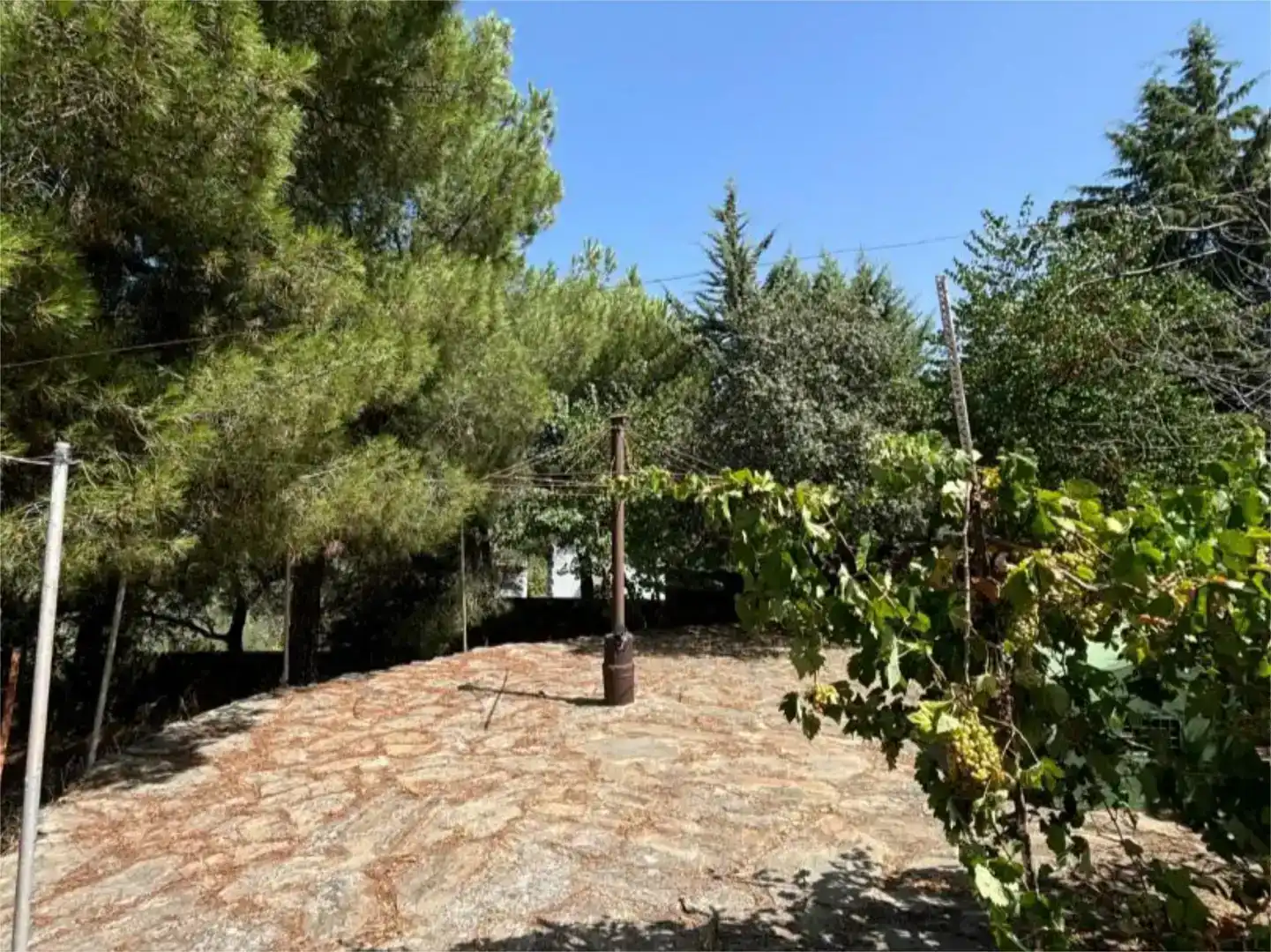 Jardí de Finca rústica en venda en Madroñera amb Jardí privat, Piscina i Moblat