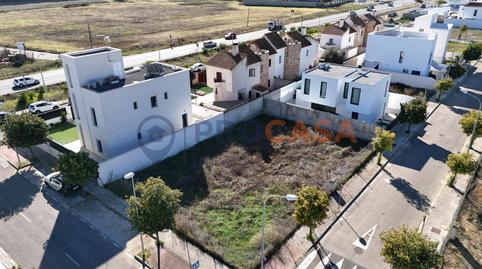 Photo 4 of Residential for sale in Consolación, Sevilla