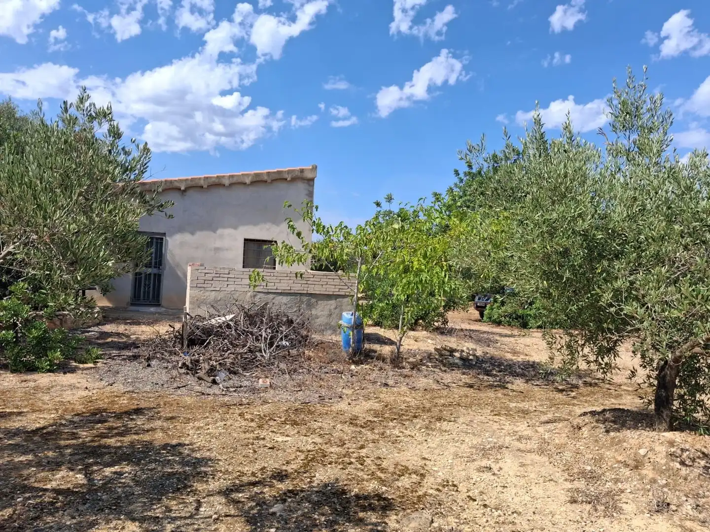 Terrain rustique à vendre à El Perelló, imagen 8