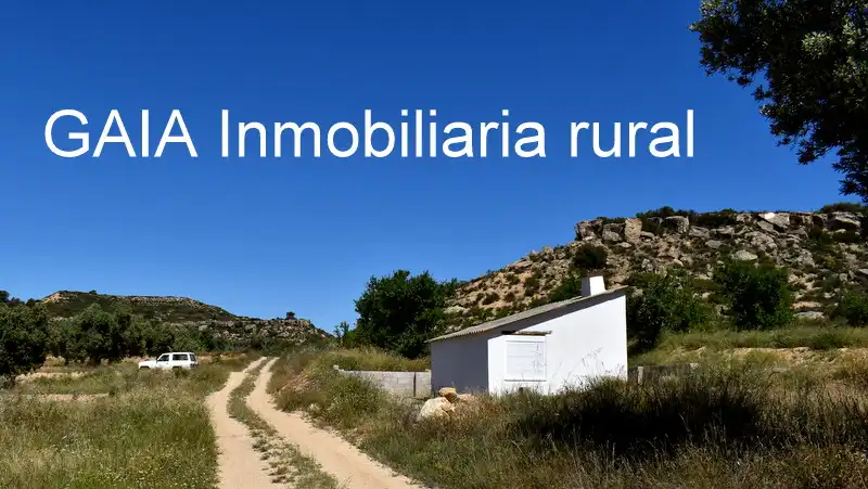 Vista exterior de Finca rústica en venta en Maella