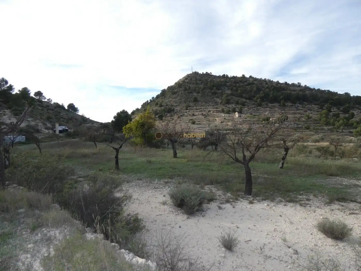 Residential land for sale in Monóvar  / Monòver, imagen 4