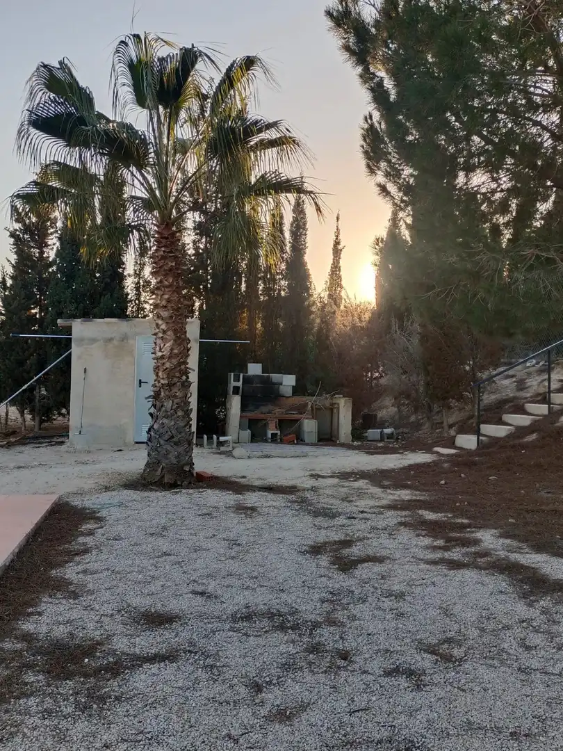 Vista exterior de Casa o chalet en venta en Molina de Segura con Aire acondicionado, Calefacción y Jardín privado