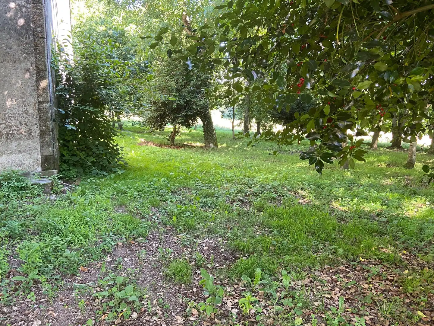 Maison rustique avec jardin à vendre à Lalín, imagen 38