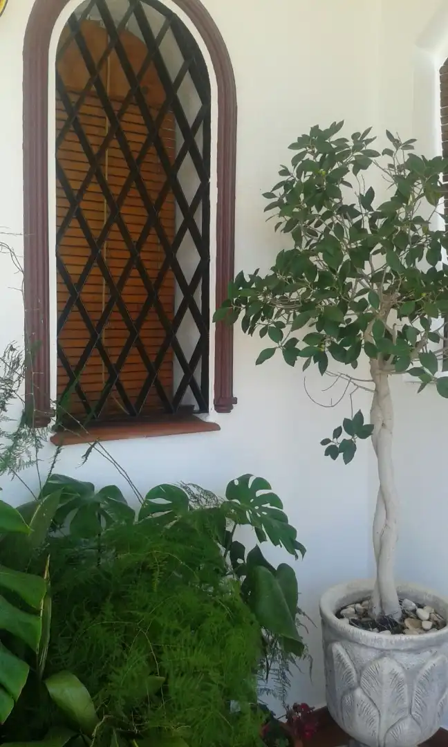 Chalet en venta en Calle Cuba, imagen 18