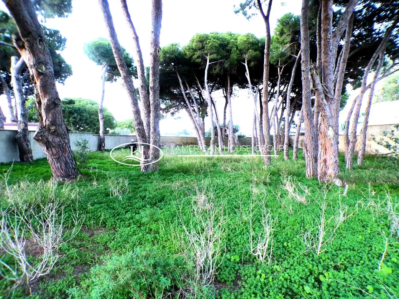 Casa o chalet en venta en Chiclana de la Frontera con Piscina