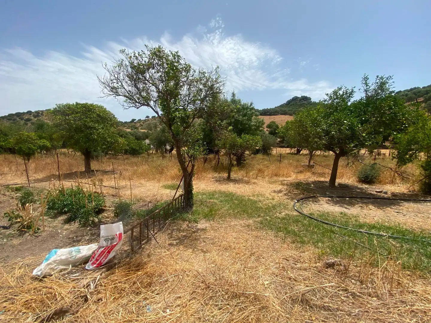 Terreni e lotti in vendita a Alcalá de los Gazules, imagen 70