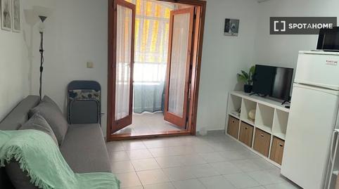 Foto 2 de Estudi per a compartir a Avenida Habaneras - Curva de Palangre, Torrevieja