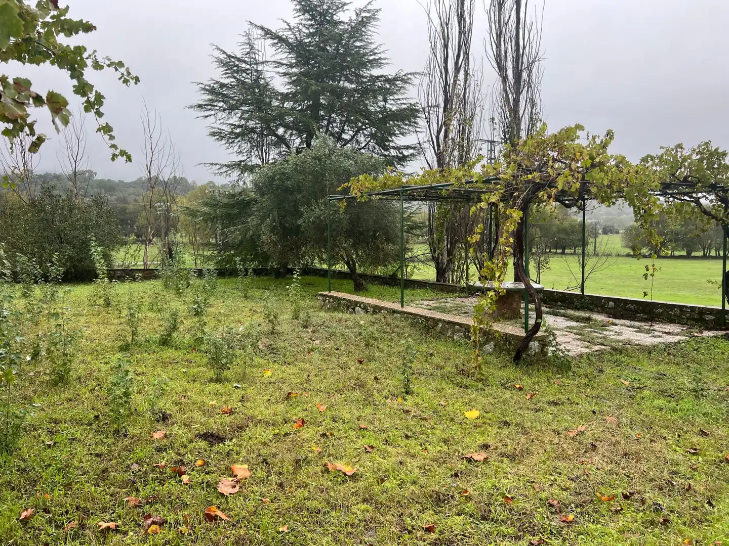 Grundstücke zum Verkauf in Lanzahíta