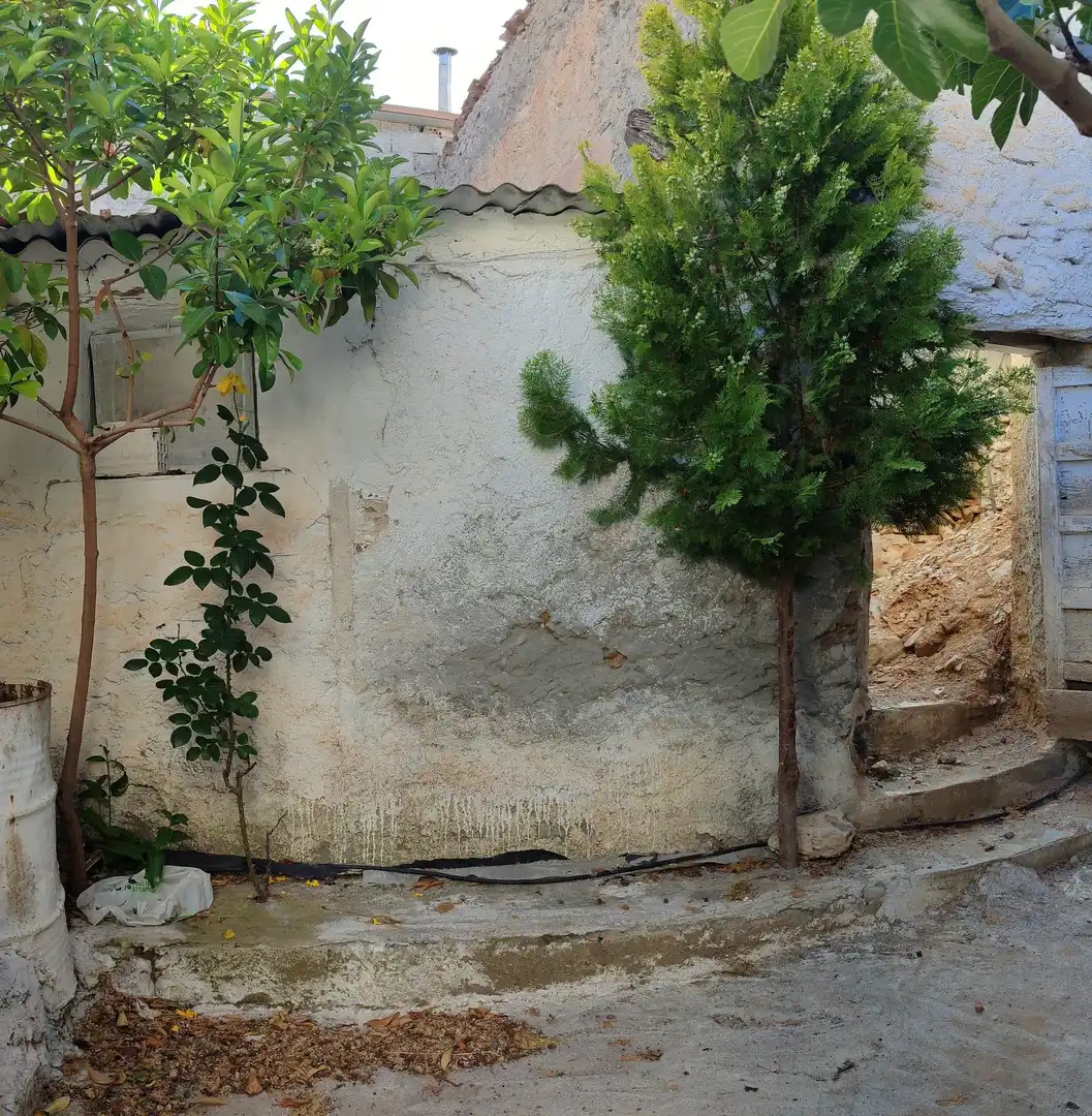 Garden of Commercial properties for sale in Tahal