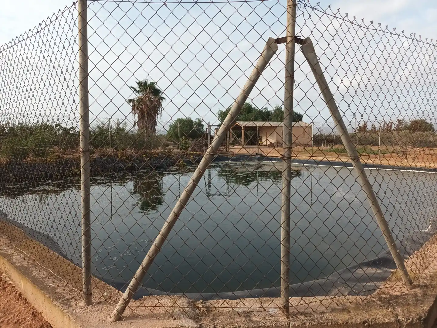 Swimming pool of Houses for sale in Cartagena  with Terrace, Swimming Pool and Furnished