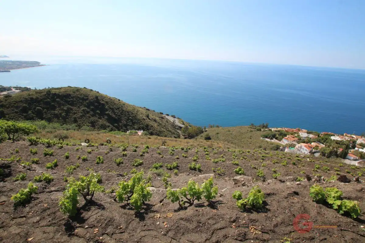 Casa rústica en venda a Monte los Almendros - El Pargo - Costa Aguilera, imagen 10