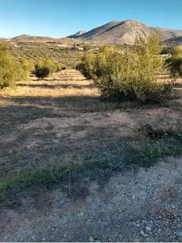 Land for sale in Cogollos de la Vega
