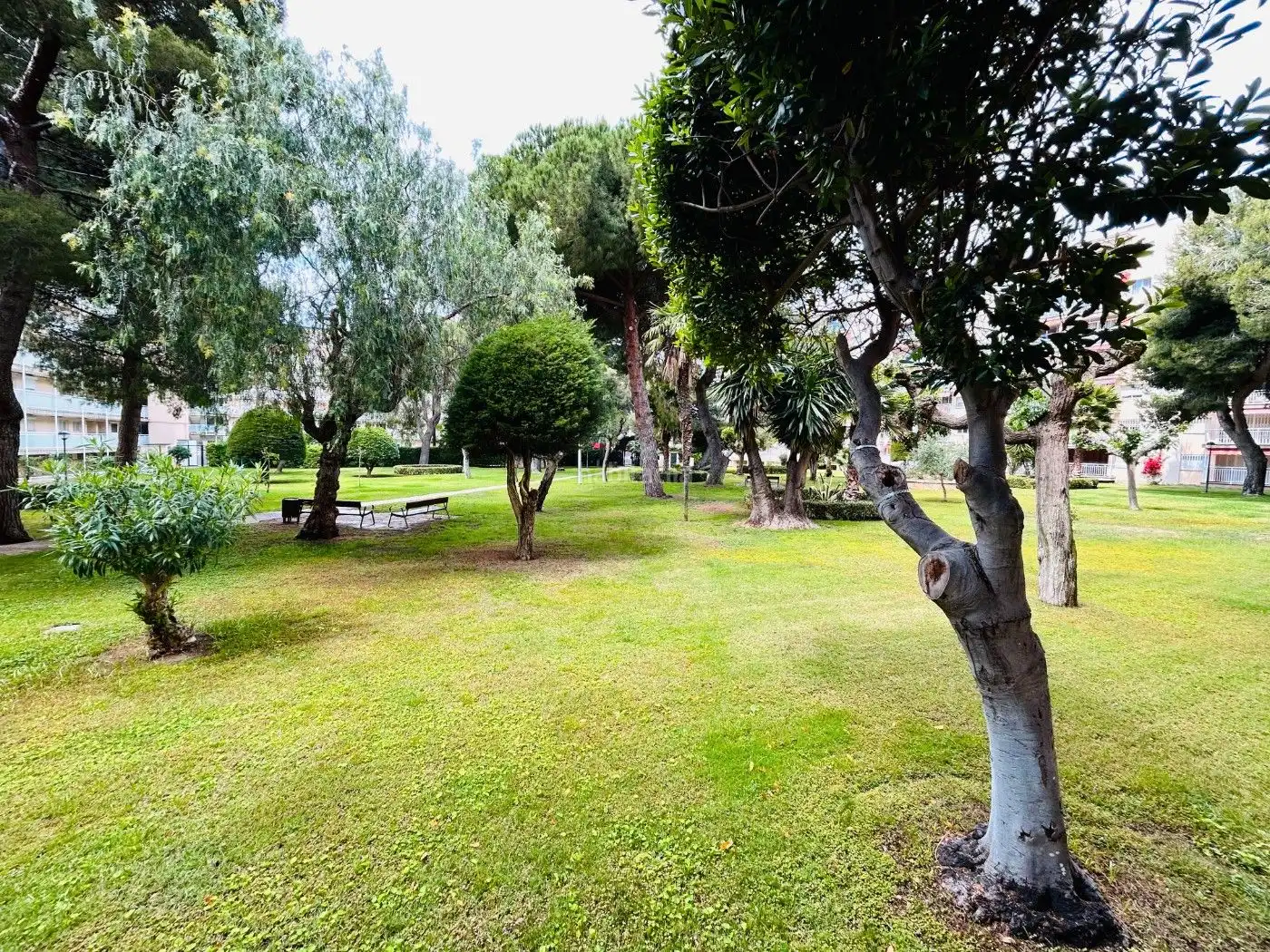 Apartment with lift to rent in Avinguda de Pompeu Fabra 32, imagen 3