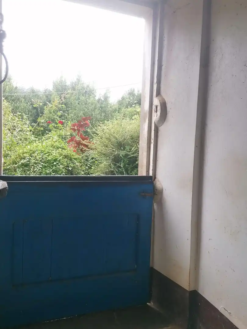 Jardí de Finca rústica en venda en Cedeira amb Jardí privat i Traster
