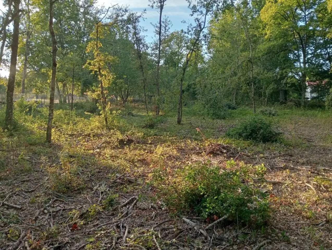 Terreni e lotti in vendita a Nogueira de Ramuín, imagen 3