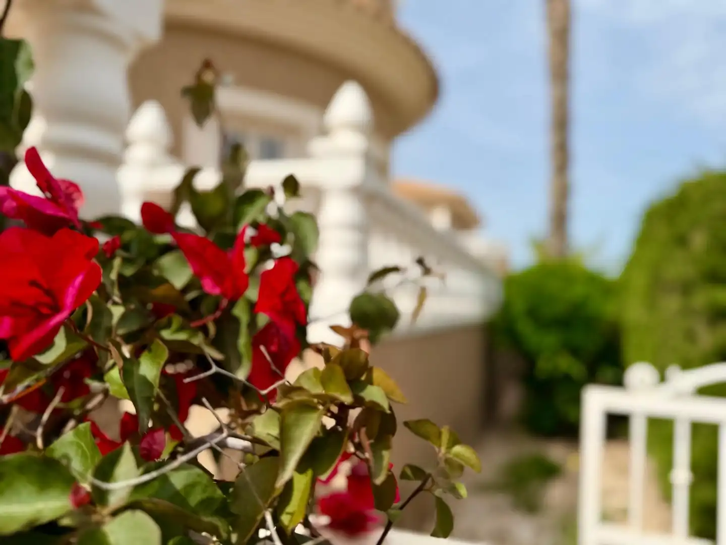 Jardín de Casa o chalet en venta en Torrevieja con Aire acondicionado, Jardín privado y Terraza