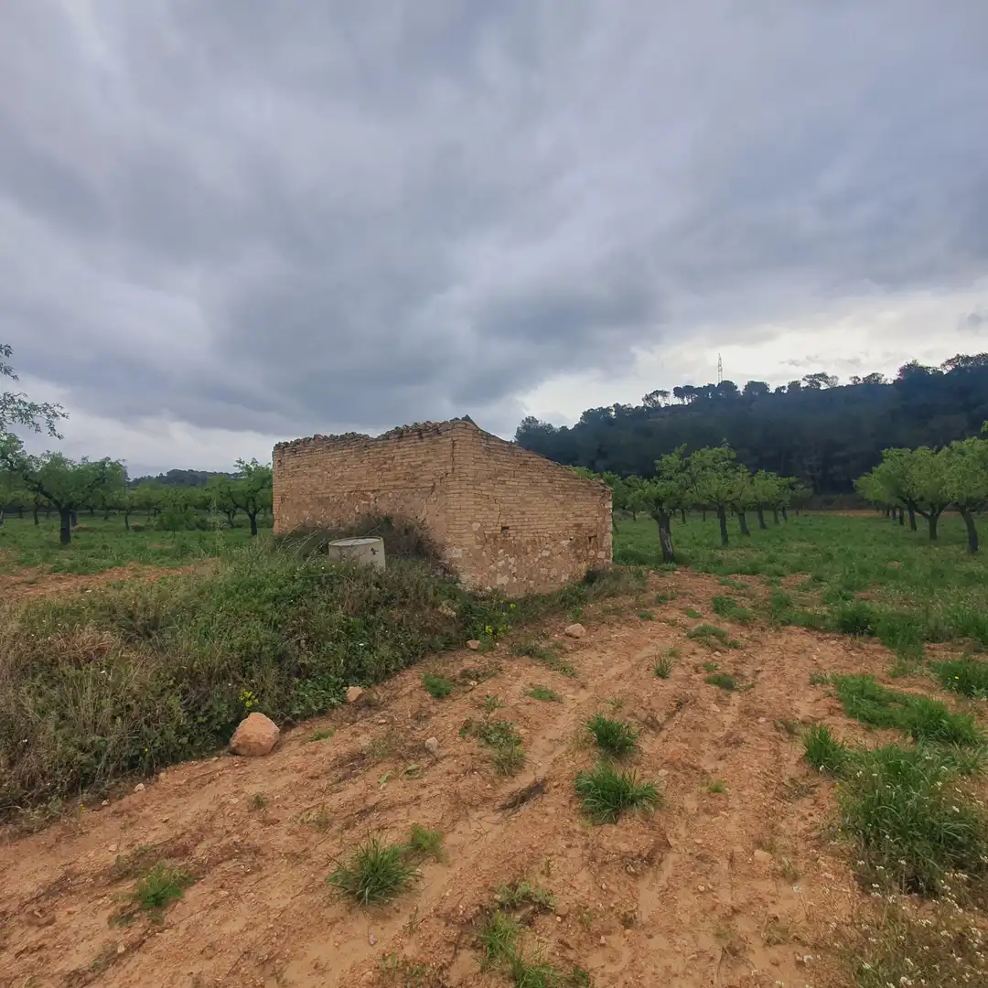 Rustikales Grundstück zum Verkauf in El Pinell de Brai, imagen 9